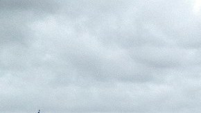 Un vehículo con una bandera de apoyo a Donald Trump durante la marcha celebrada este domingo en Miami.