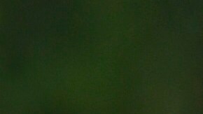 El argentino Marcos Acuña ahora jugará en el Sevilla, Campeón de Europa League.