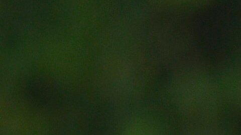 El argentino Marcos Acuña ahora jugará en el Sevilla, Campeón de Europa League.