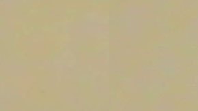 como Joshua David Anyzeski, de 18 años, fue arrestado en el sur de la Florida.