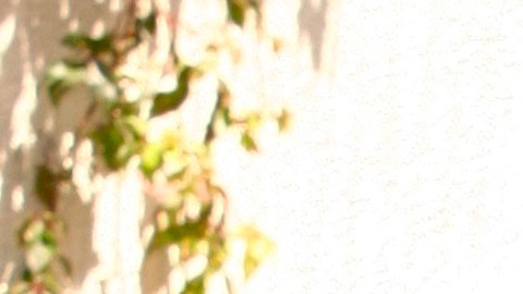 Andrés García