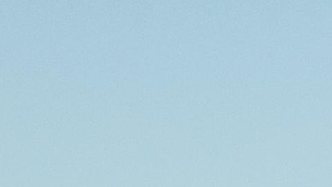 Existe una flor que representa a los nacidos en cada mes del año.