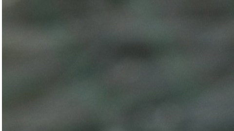 Arturo Vidal