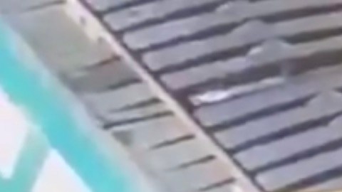 Tres hombres asaltaron al turista que había viajado desde Chicago para pasar el Labor Day Weekend en el sur de Florida.