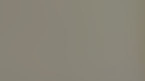 Burnian Bedford ya ha sido arrestado.