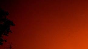 Un bombero comprueba la evolución del incendio que arrasa el Parque Nacional de las Secuoyas.