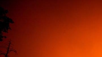 Un bombero comprueba la evolución del incendio que arrasa el Parque Nacional de las Secuoyas.