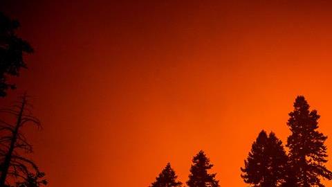 Un bombero comprueba la evolución del incendio que arrasa el Parque Nacional de las Secuoyas.