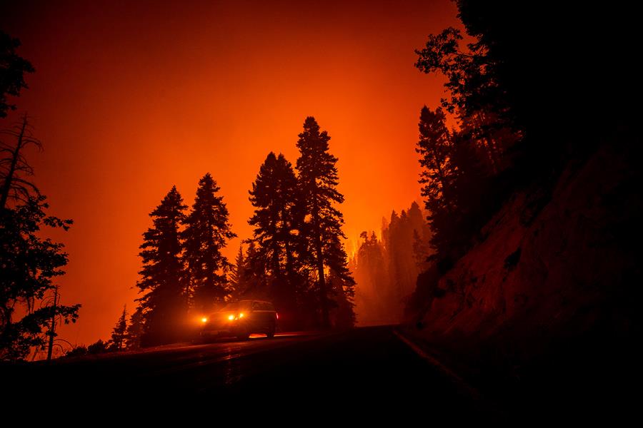 California - cover