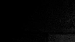 El autor adapta la imagen a características del personaje o de la época.