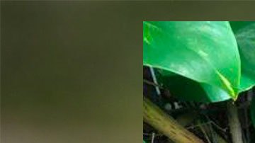 Fotografías del proyectil encontrado en el jardín de una casa de Miami Shores.