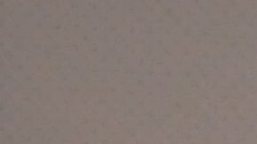 La magistrada Ruth Bader Ginsburg, de la Corte Suprema de Estados Unidos en la ceremonia de naturalización del pasado 10 de abril en el edificio del New-York Historical Society