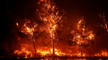 El Glass Fire avanza rápidamente en el área de Napa, California.