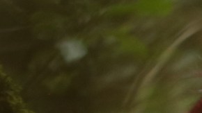 'Enemigo Íntimo' de Telemundo y 'Dulce Ambición' de Univision.