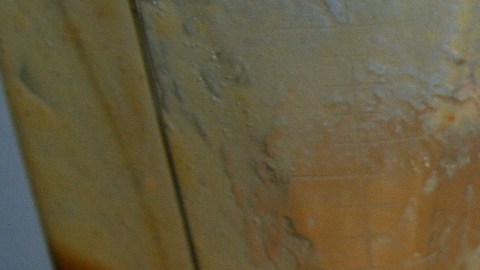 Batido de calabaza.