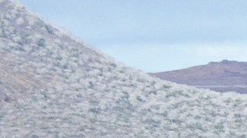 Las Islas Galápagos están especialmente protegidas.