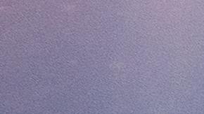 Tiburón cerca de una costa.