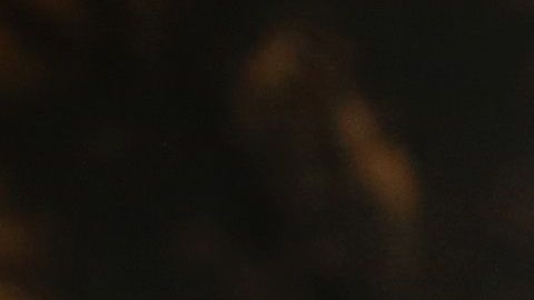 Piden legalización para trabajadores esenciales. (Getty Images)