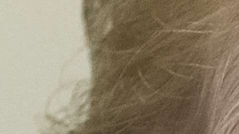 Trump siempre negó algún contacto directo con Rusia