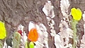 Piden igualdad para personas con discapacidad. (Cortesía Michael Dergar)