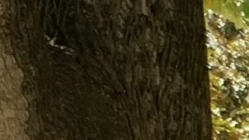 Trabajadores en Sacramento.