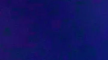 Imagen de la incautación proporcionada por las autoridades.