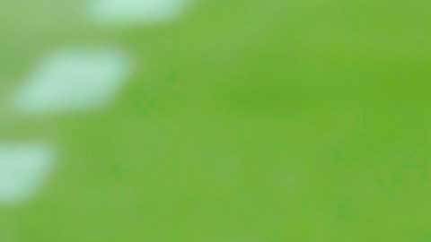 Ronald Koeman es un técnico disciplinado.
