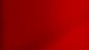 María Celeste Arrarás.