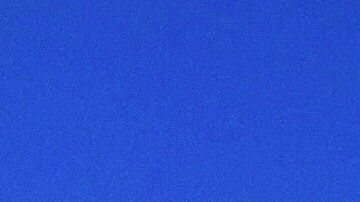 trigo