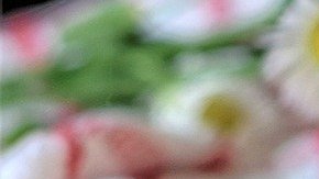 muffins-5428598_1920 (1)