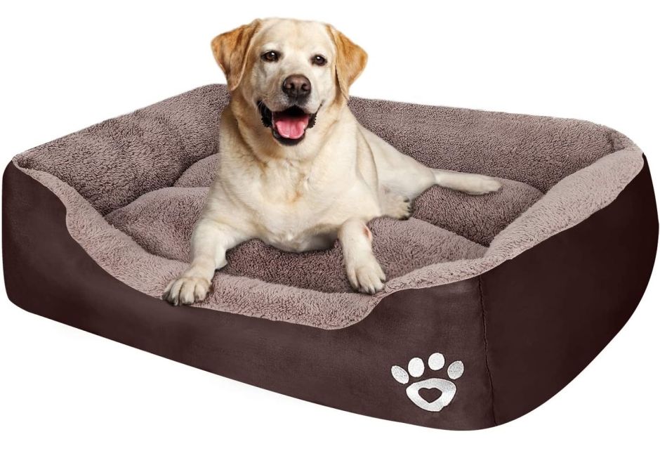 Las 5 mejores camas para perros que a tu mascota le encantarán El Diario NY Las 5 mejores camas para perros que a tu mascota le encantarán El Diario NY