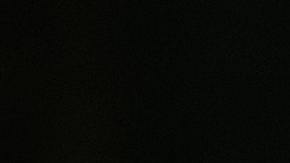 Cada signo vive distinto la soltería.