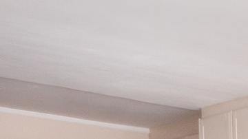 Los colores no solo son decorativos, también emanan energía.