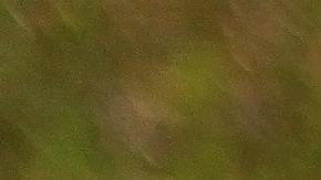 El amor puede llegar en una persona de tu mismo signo.