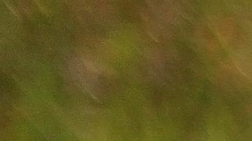 El amor puede llegar en una persona de tu mismo signo.