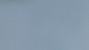 Son 15 playas afectadas en varios condados.