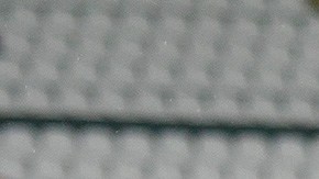 pumas pierde invicto león