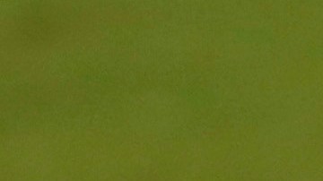 Sergio Ramos ya comenzó su conteo goleador en la temporada.