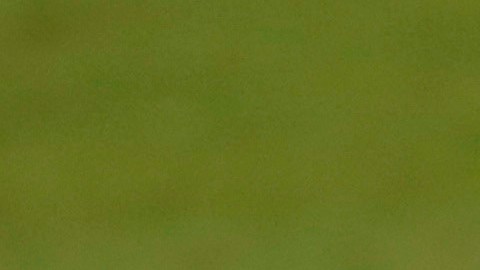 Sergio Ramos ya comenzó su conteo goleador en la temporada.