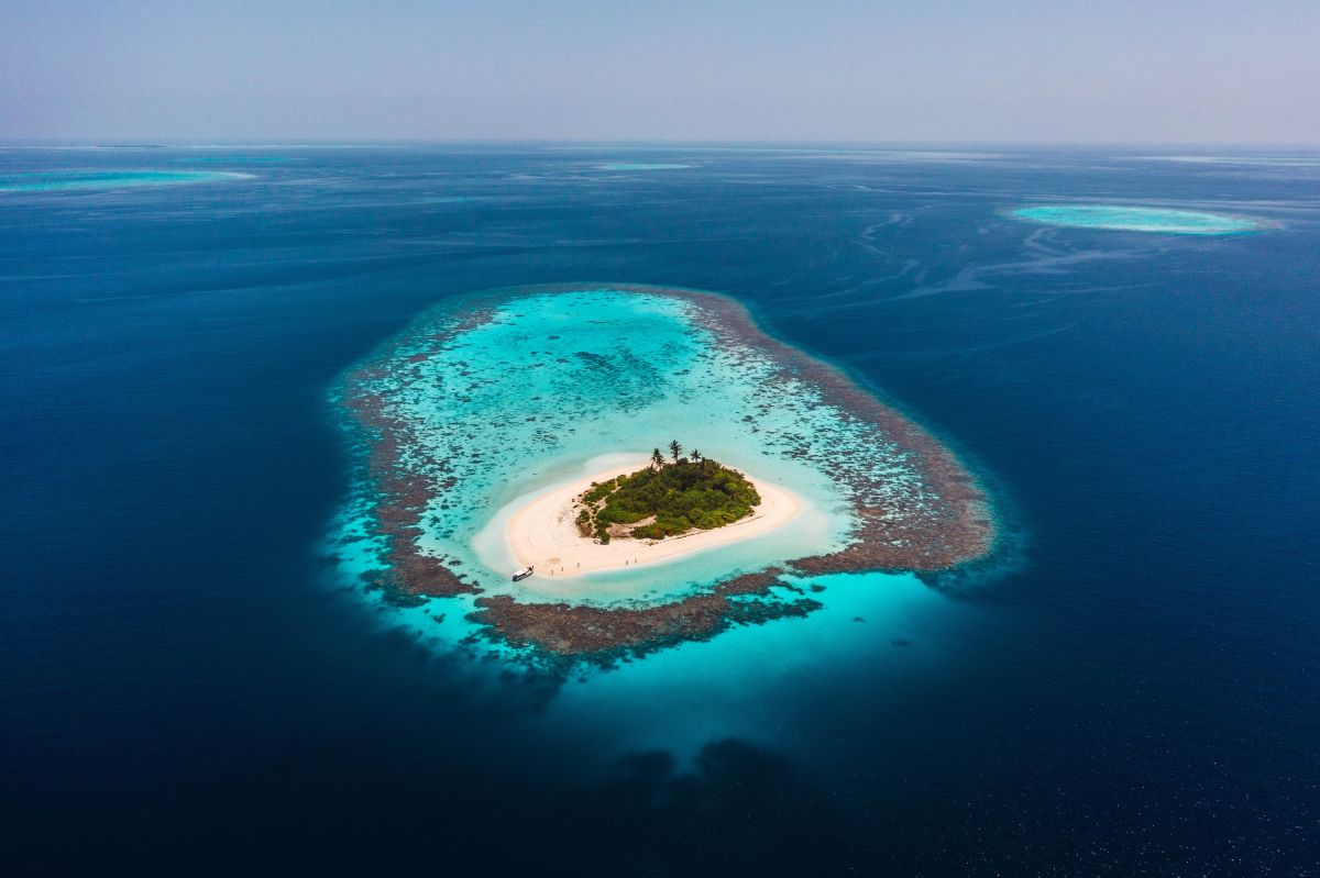 ¿Sobrevivirías en una isla desierta?