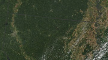 Sally podría dejar caer de 10 a 20 pulgadas de lluvia entre Mississippi y la península de Florida.