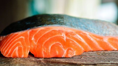 salmon