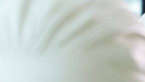 shutterstock_mujeres