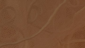 El día más feliz para la pareja se volvió en tragedia,