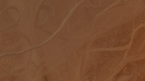 El día más feliz para la pareja se volvió en tragedia,