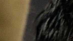 Luis Suárez será siempre un ídolo del Barcelona.