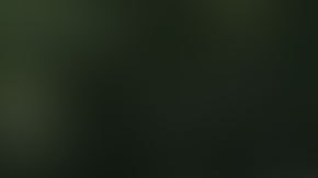 El padre del jugador de los New England Patriots era capitán de la policía de Miami-Dade.