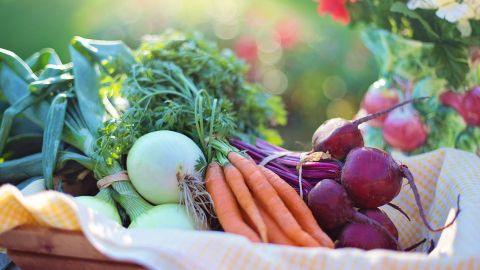 Vegetales.