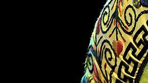 Chente ha ganado 7 premios Grammy Latinos y 1 premio Grammy.