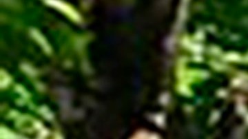 Las FARC de Colombia han realizado secuestros.